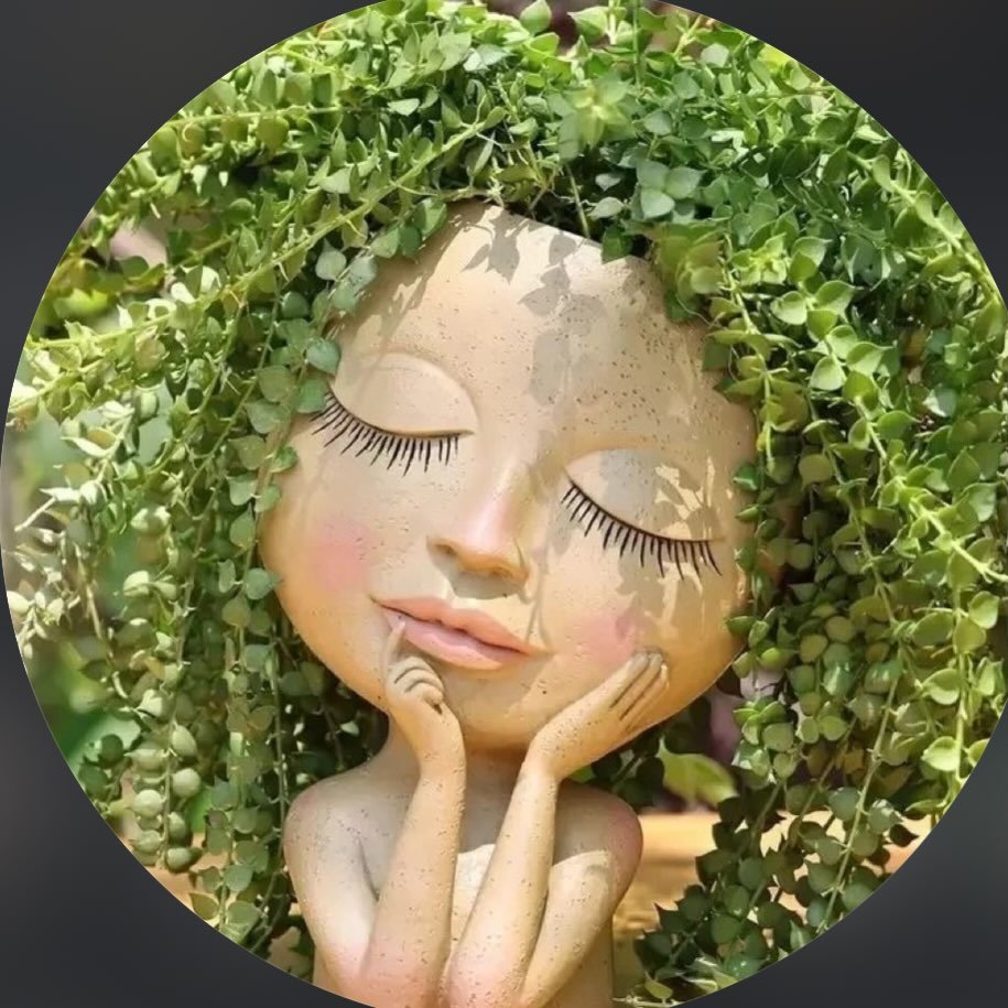 plantlover home Instagram Shop Sauce plantlover-home-instagram-shop-sauce