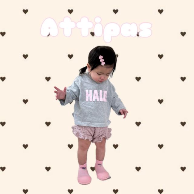 ローズ&チューリップ出品 Tulip（チューリップ）