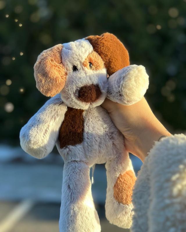 Marshmallow Junior Puppy – 9