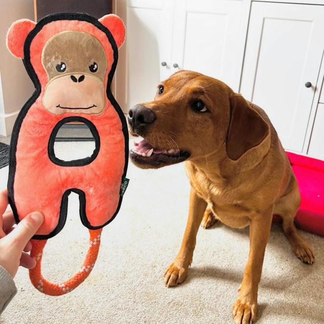 Orangutan Dog Toy Squeaky Durable – Beco