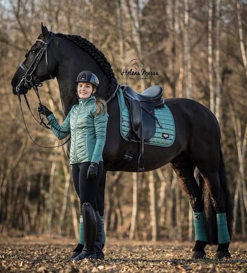 Tapis De Selle Dressage Carré LeMieux Loire - Satin Violet - Taille Standard - Neuf