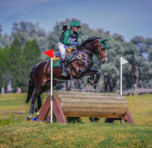 Loire Classic Close Contact Square Hunter Green Saddle Pads