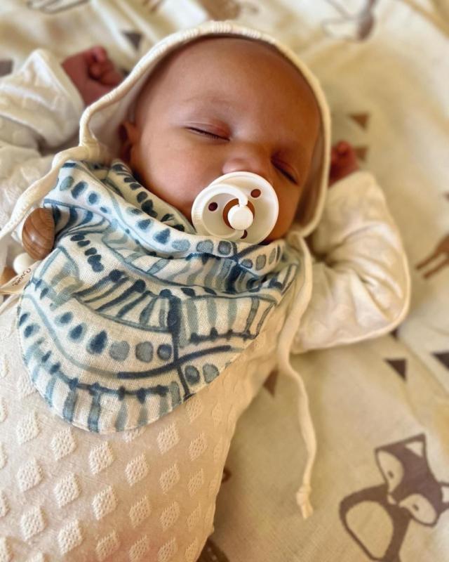 Caspian 3-pc. Muslin Baby Bib Set | Crane Baby