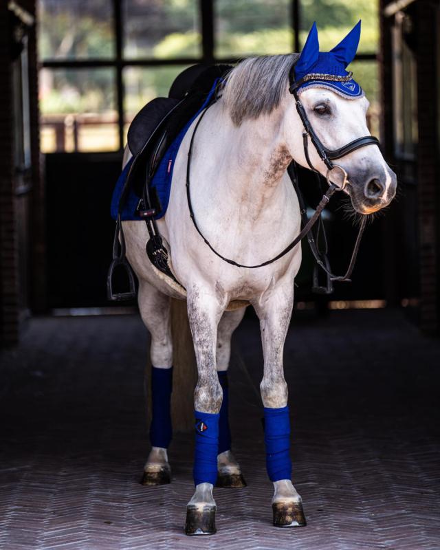 Chapeau De Bombe Le Mieux Avec Pompon – Soie Bleue, équitation, Neuf