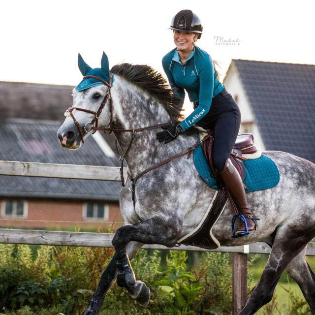 LeMieux Classic Lycra Fly Hood in Jay Blue | Houghton Country