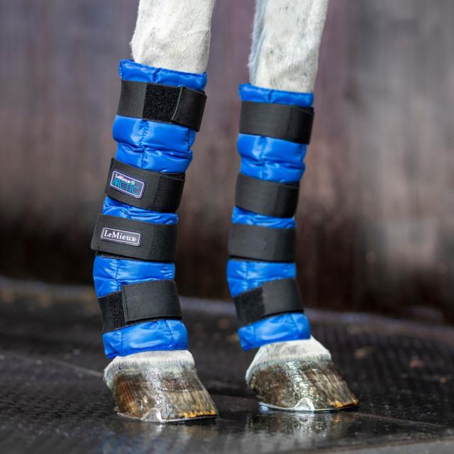 Arctic Ice Boot (Pair) Blue Horse