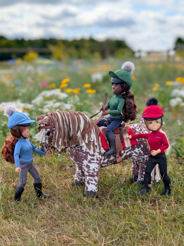Toy Pony Montana New