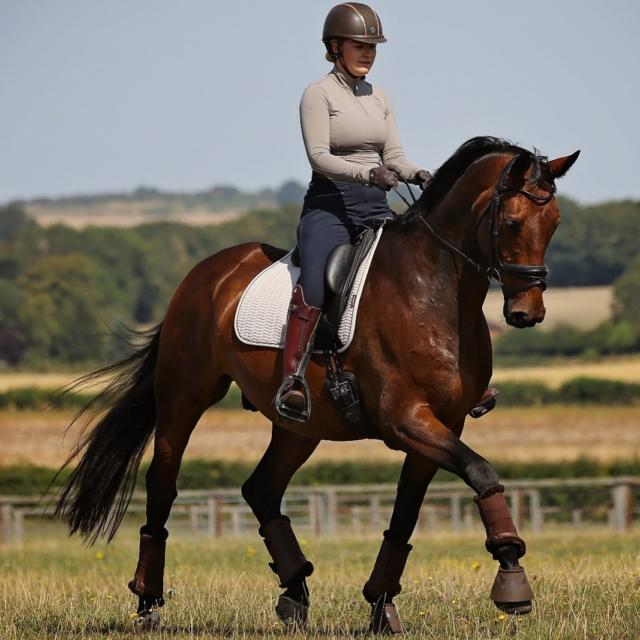 Kavallerie Dressage Horse Boots - Fleece Lined Faux Leather Brushing Boots For Training & Riding
