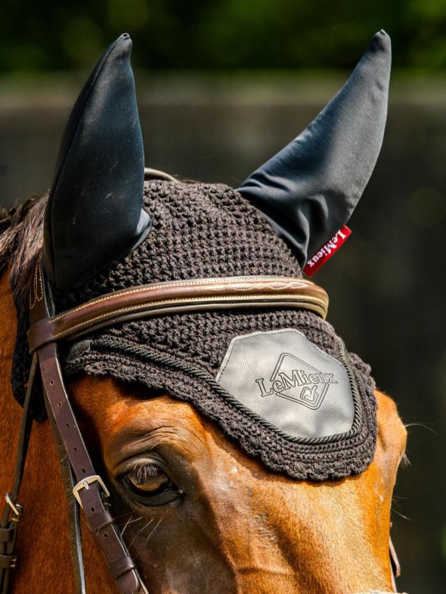 Bonnet Anti-mouches Equithème Lycra® Noir - Taille L Pour Cheval - Neuf Sous Emballage