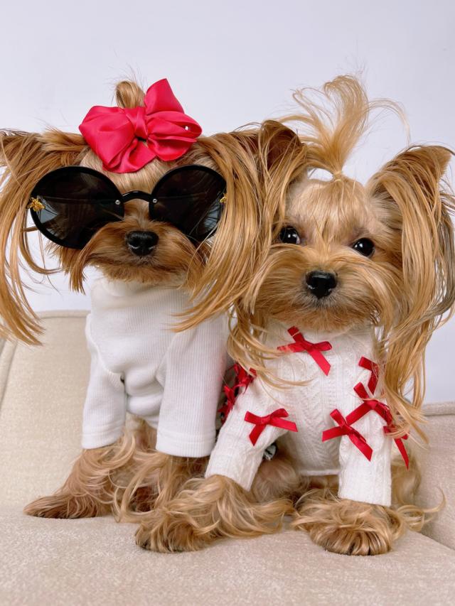 dog dresses Juliette - Toy main image 1