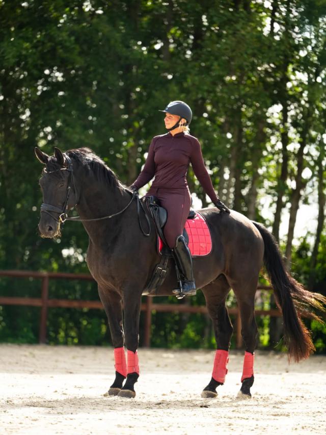 Posted by @sweet.equestrianlife - Horses will never get boring 🌸 Drukke week op...