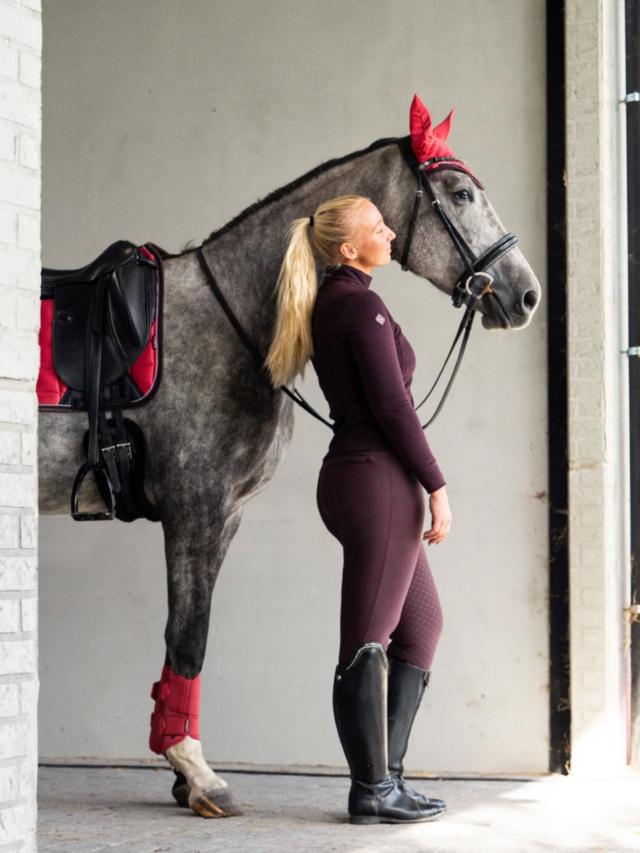 Posted by @sweet.equestrianlife - The future smiles Hello🌞 De verhuizing is achter de...