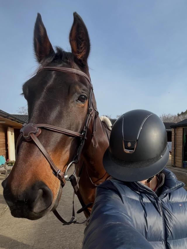 Snaffle bridle LeMieux Arika Grackle | La sellerie de Maé