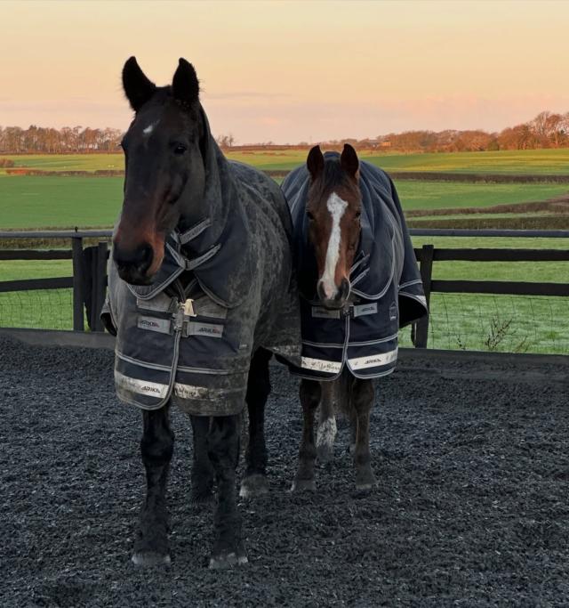 Arika Storm-Tek Rug 100g Navy Outlet