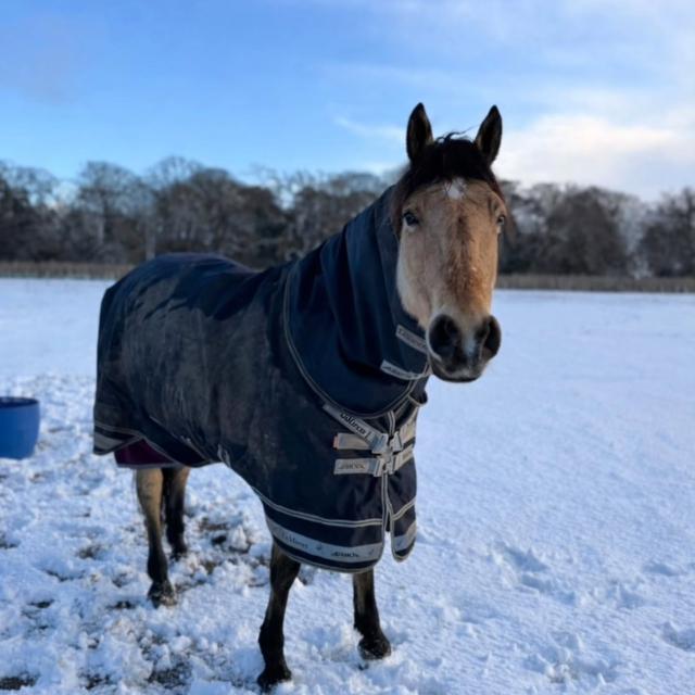 Arika Storm-Tek Rug 200g Navy Outlet