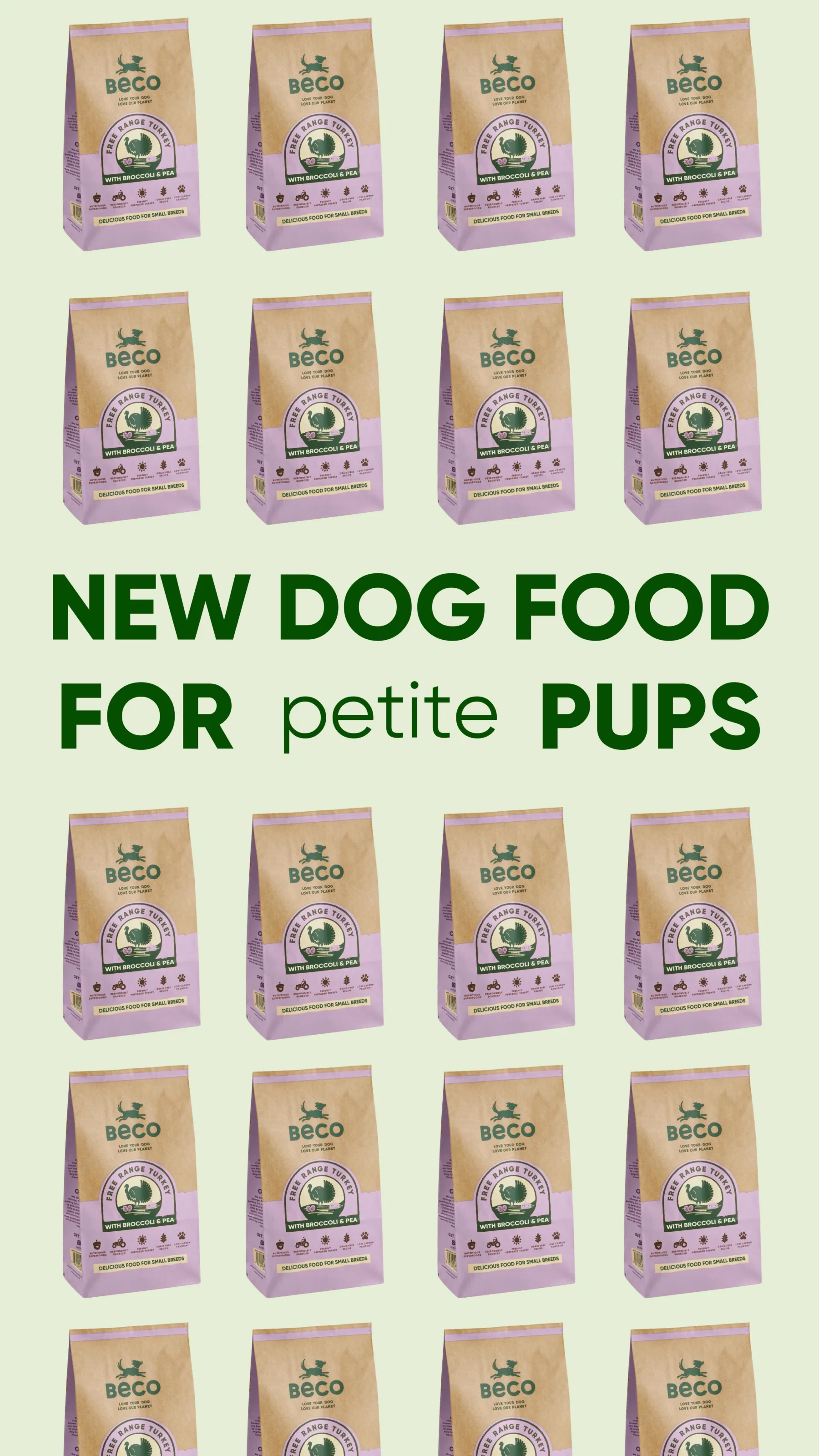 超犬レアコレ3 6Box Small Breed Dog Food | Nutrition for Tiny Pups – Beco