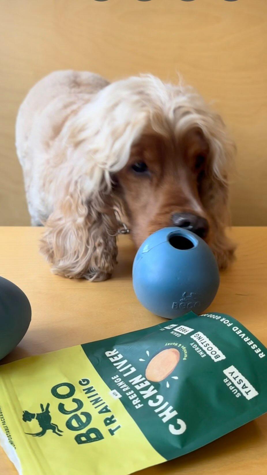 Dog Wobble Ball | Treat Dispensing Ball for Dogs – Beco